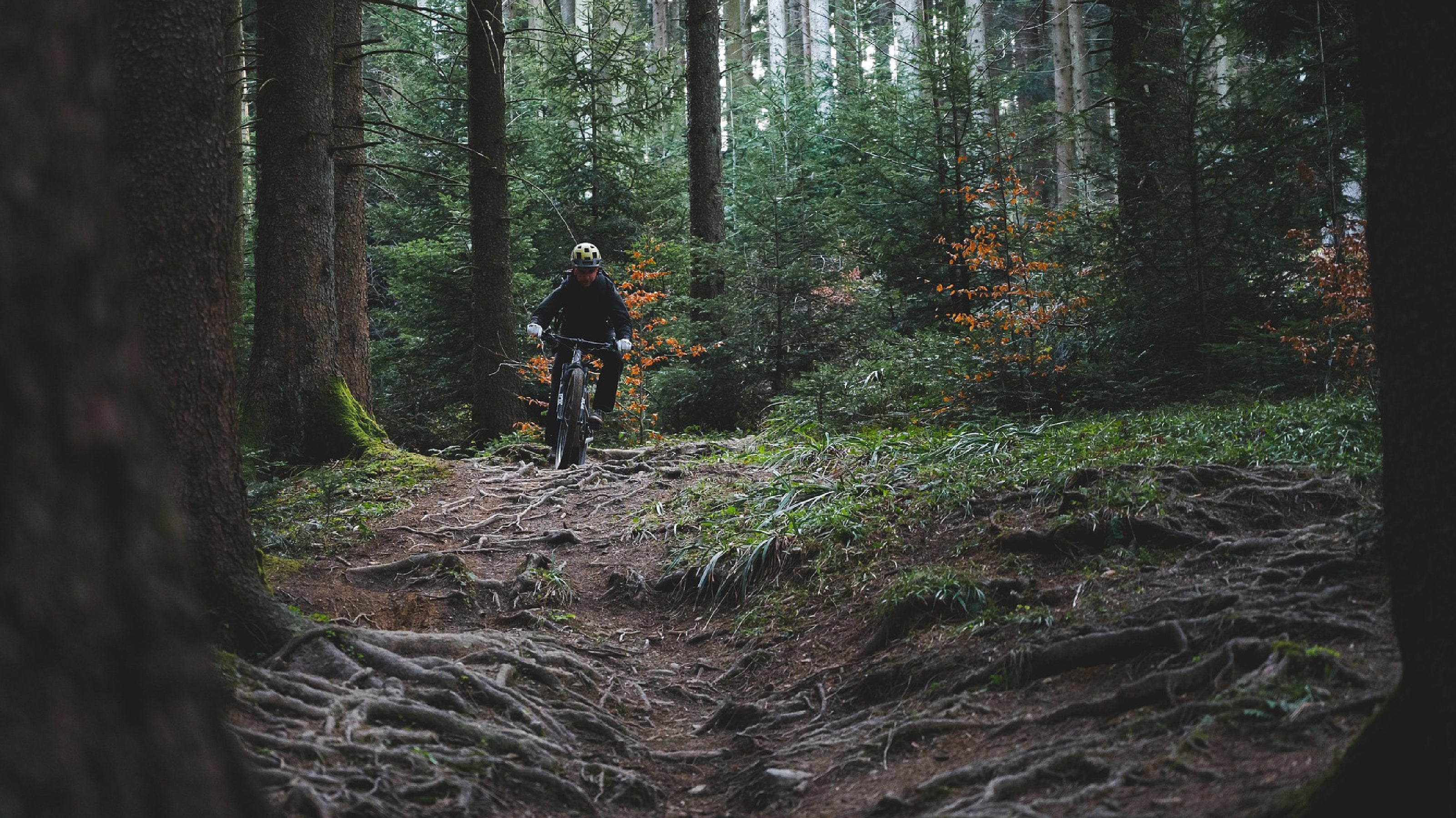 What Is the Electric Mountain Bike