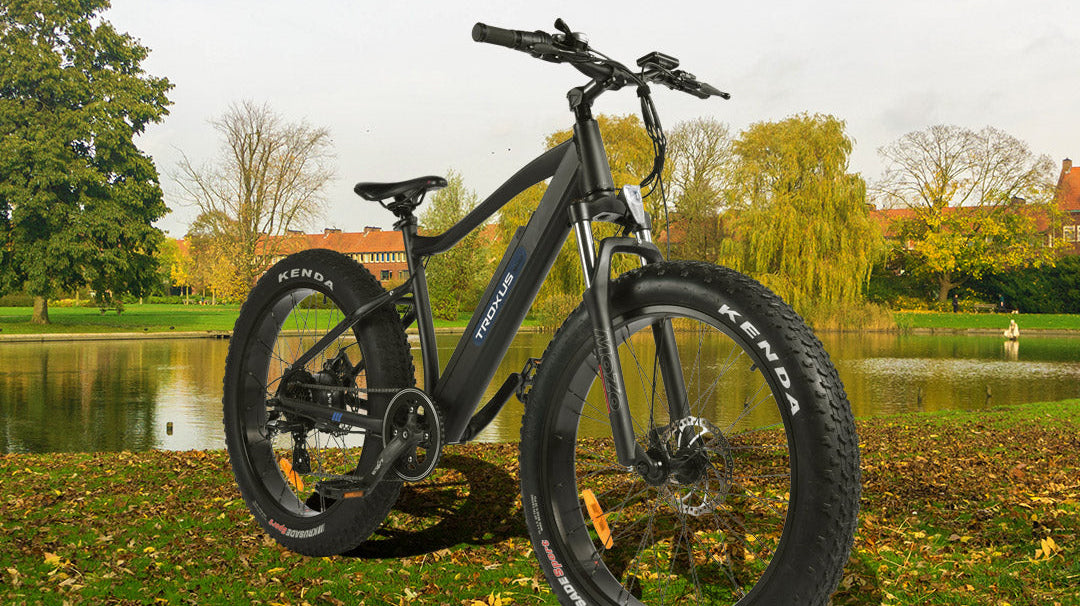 The evaluation of E-bikes