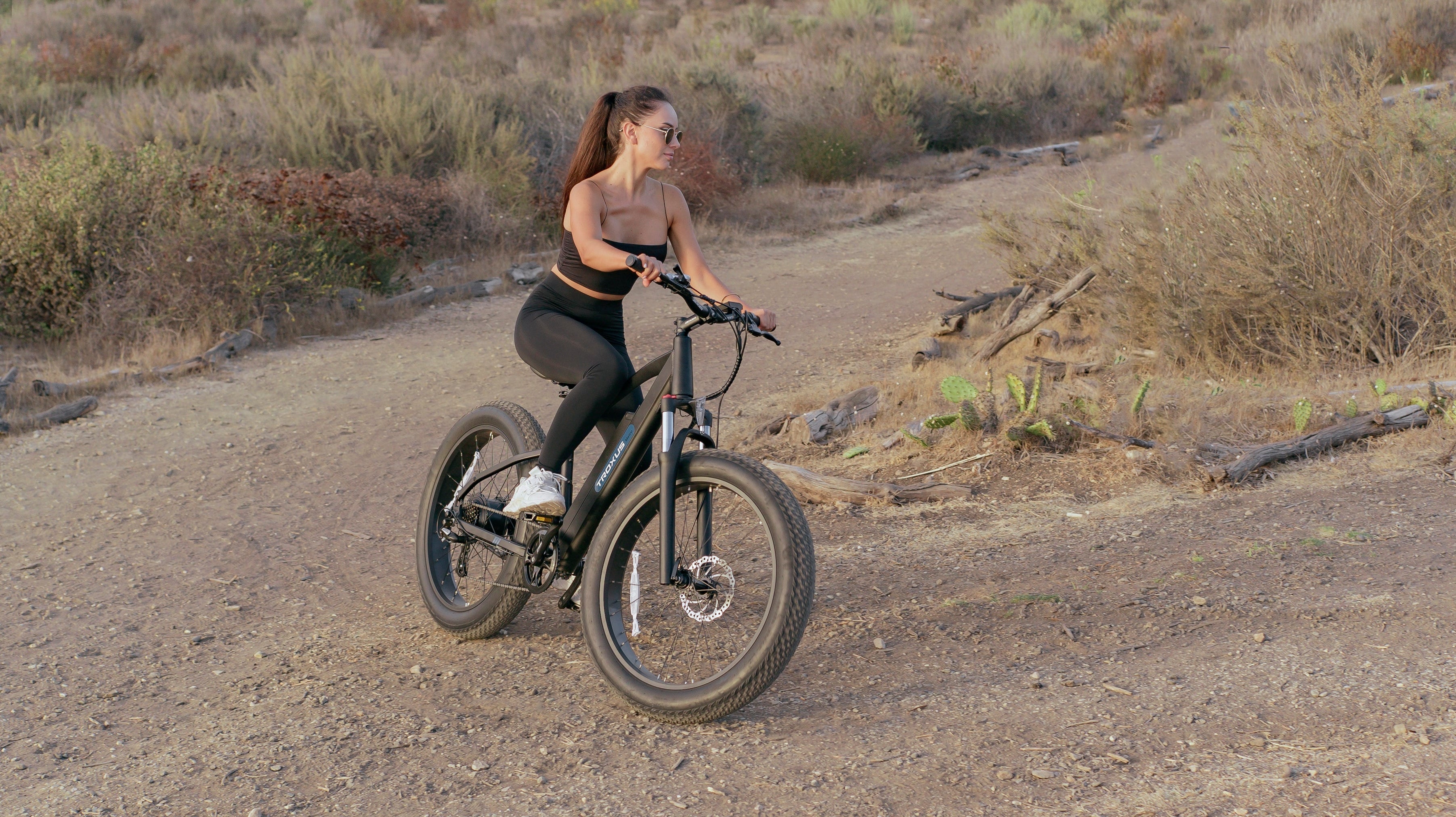Why we need fat tires e-bike?