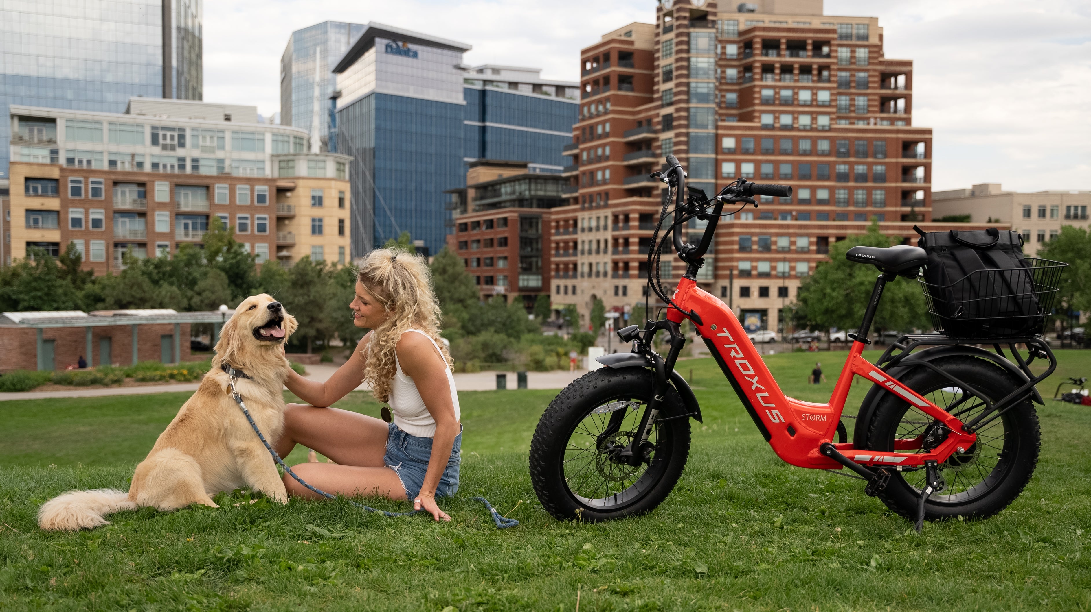 The Joy of Riding with Your Furry Companion