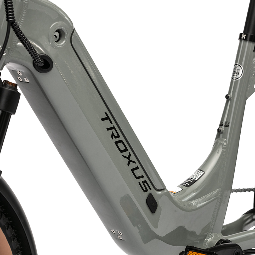 lynx-2-up-troxus-e-bike