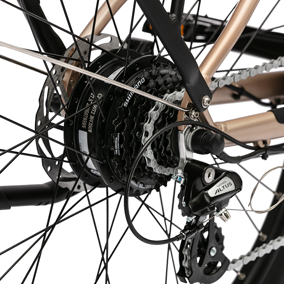 trax-sport-troxus-e-bike