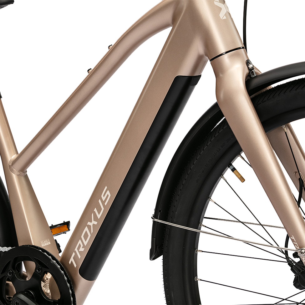 trax-sport-troxus-e-bike