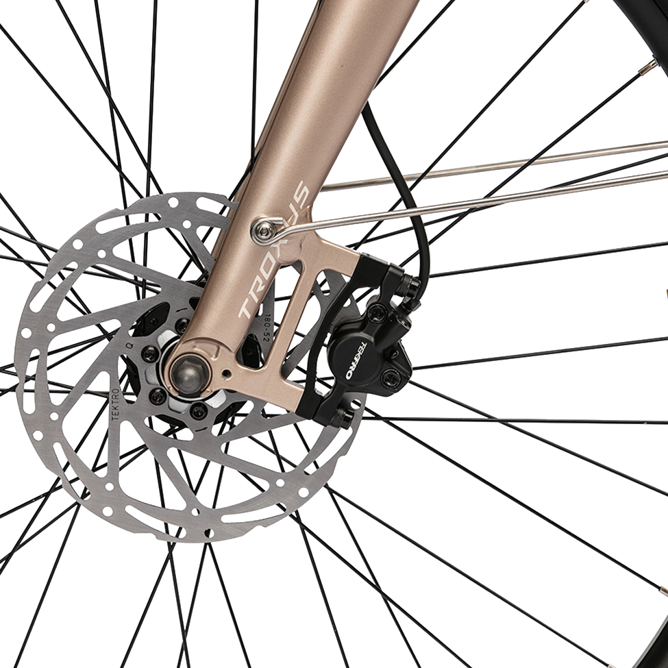 trax-sport-troxus-e-bike