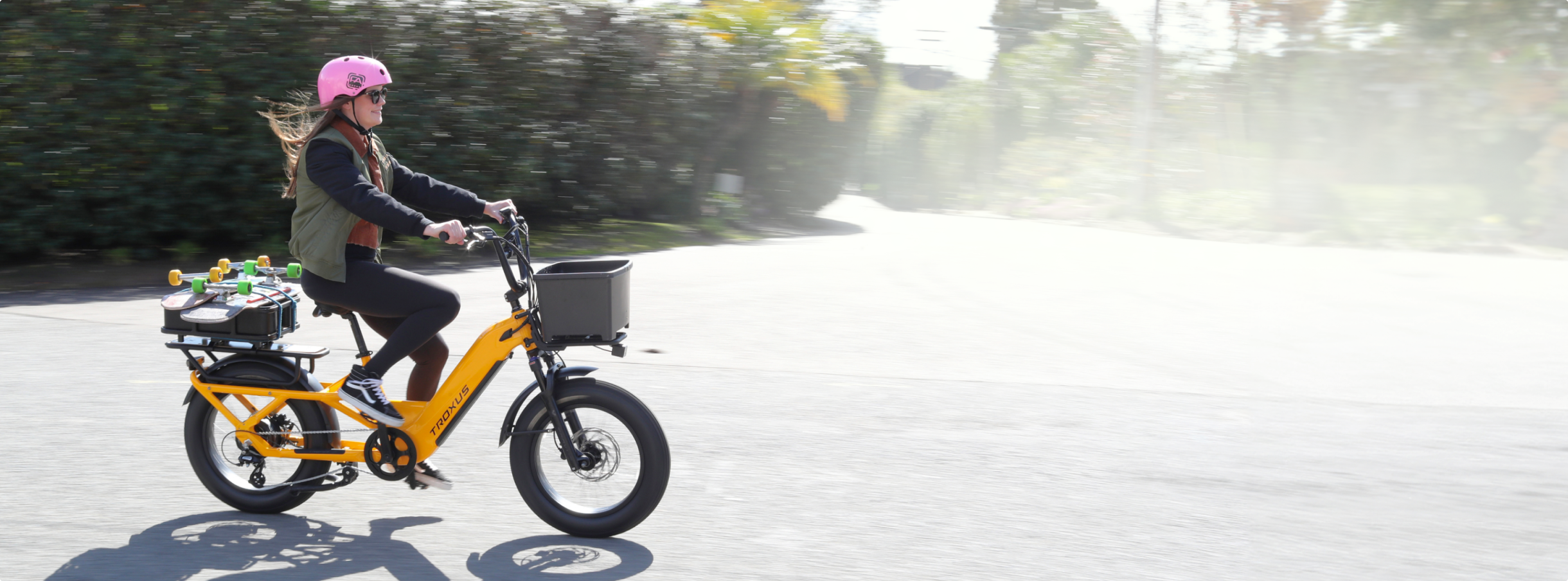 troxus-lynx-cargo-e-bikes
