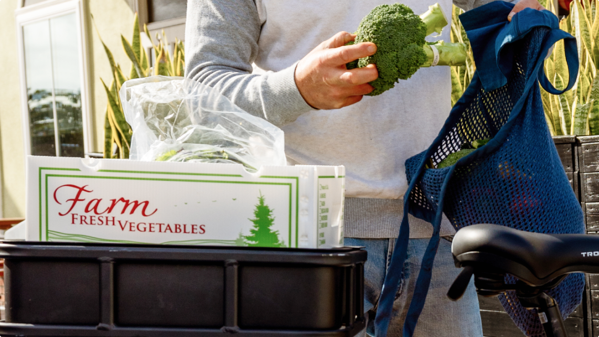 troxus-minivan-ebikes