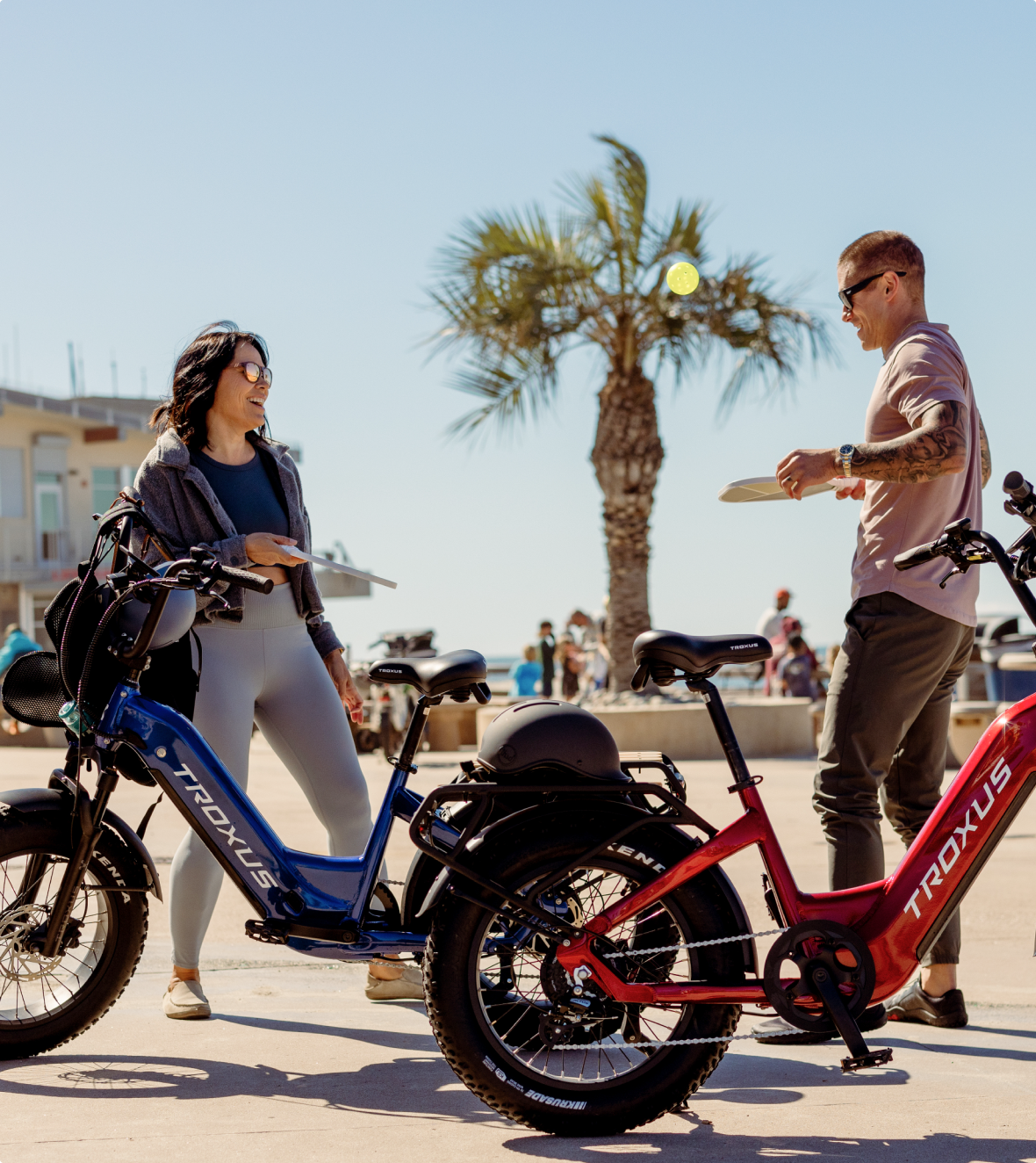 all-terrain-e-bikes