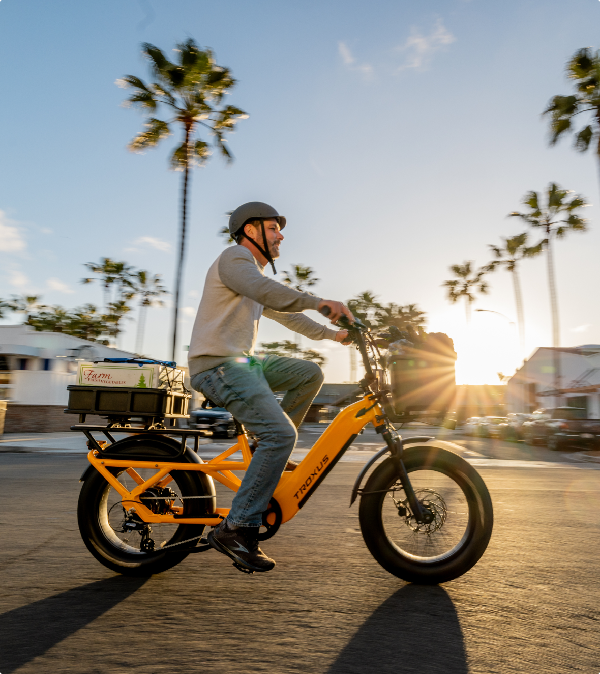 troxus-utility-ebikes