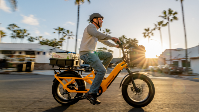 troxus-utility-ebikes