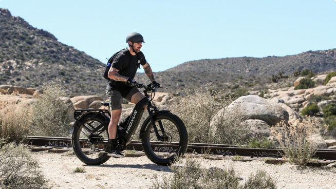 Troxus-fat-tires-e-bikes