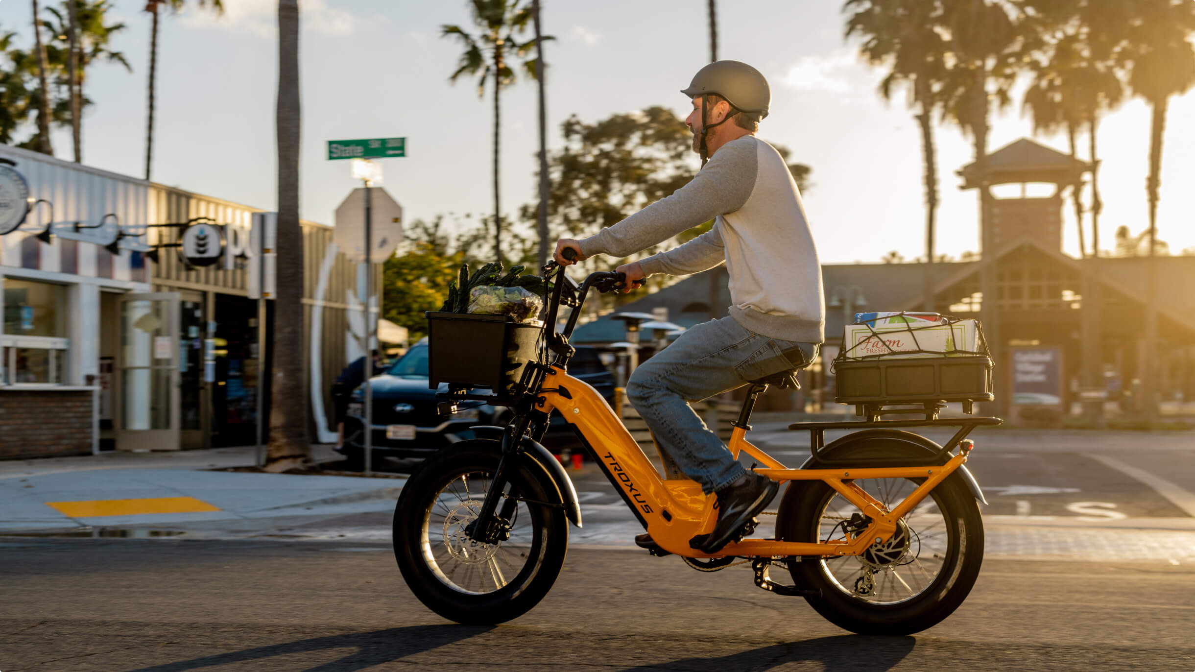 troxus-lynx-cargo-e-bikes