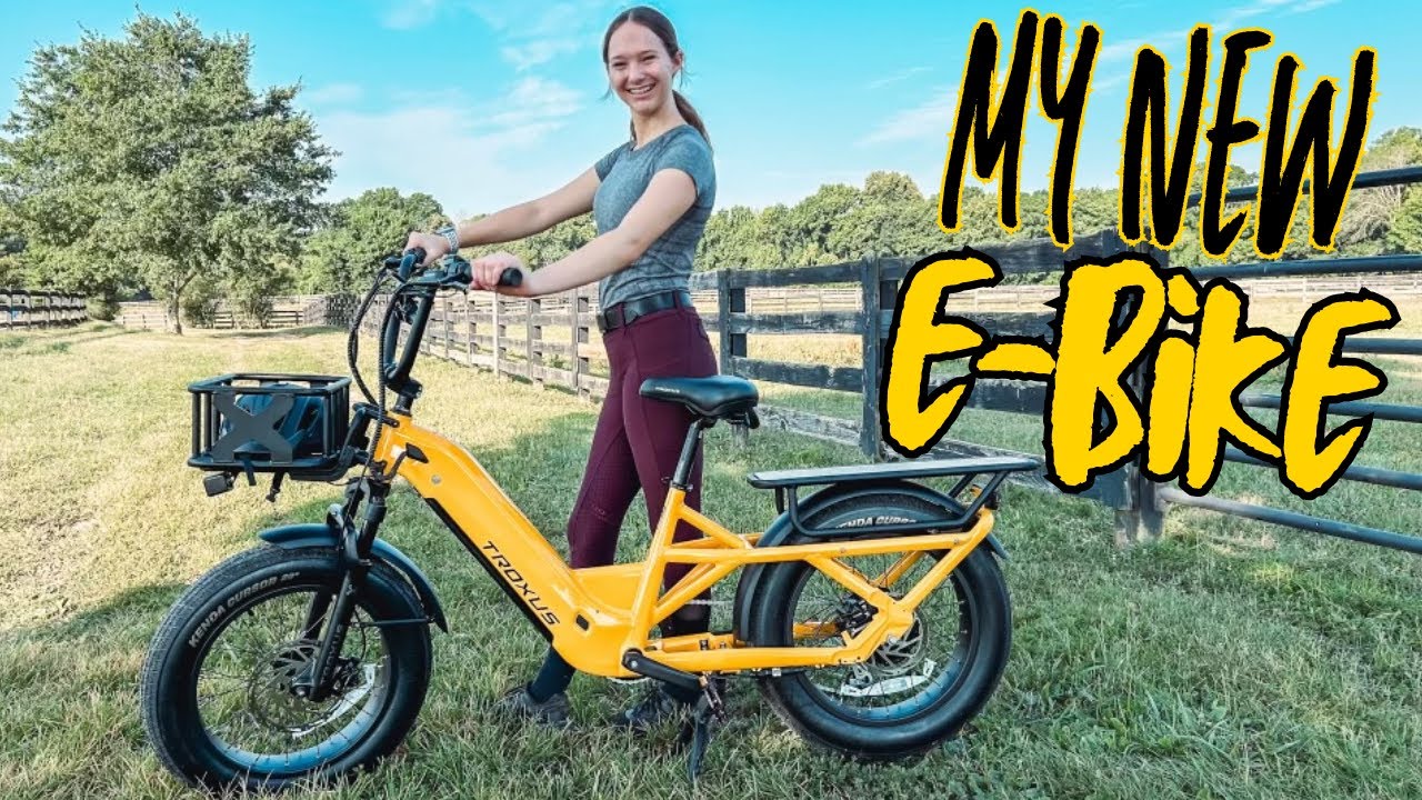 troxus-lynx-cargo-e-bikes