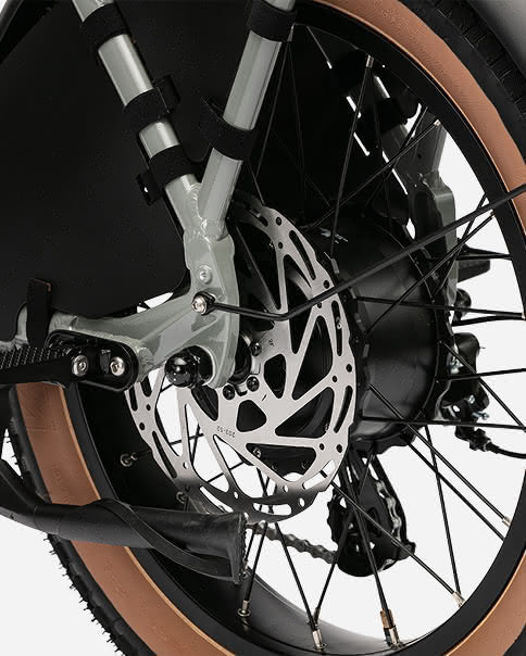 lynx-2-up-electric-bike