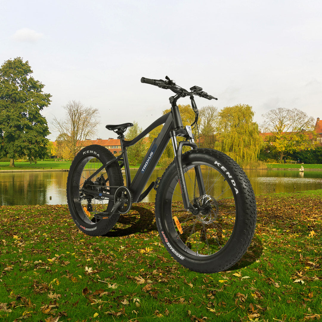 The evaluation of E-bikes