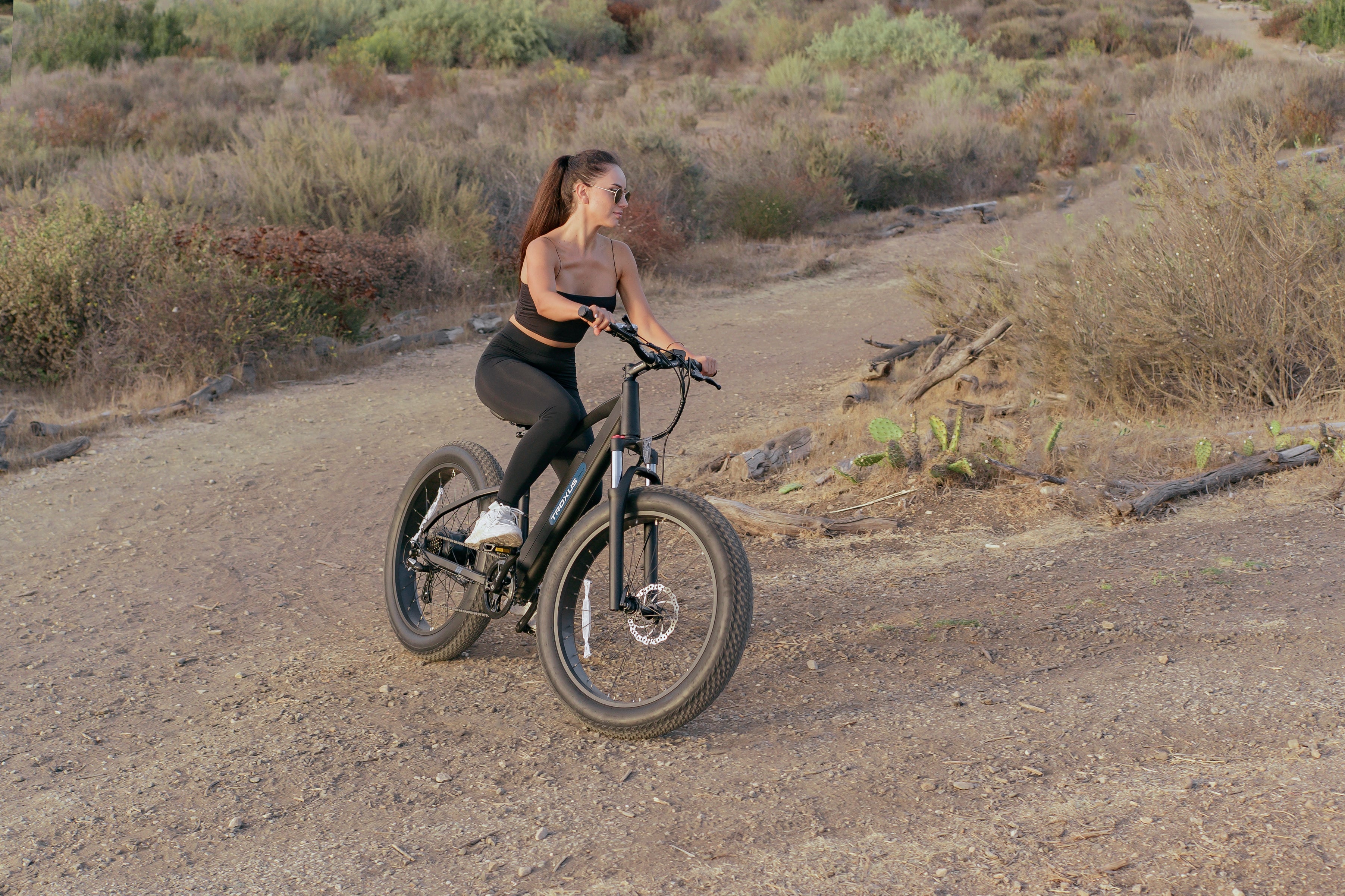 Why we need fat tires e-bike?