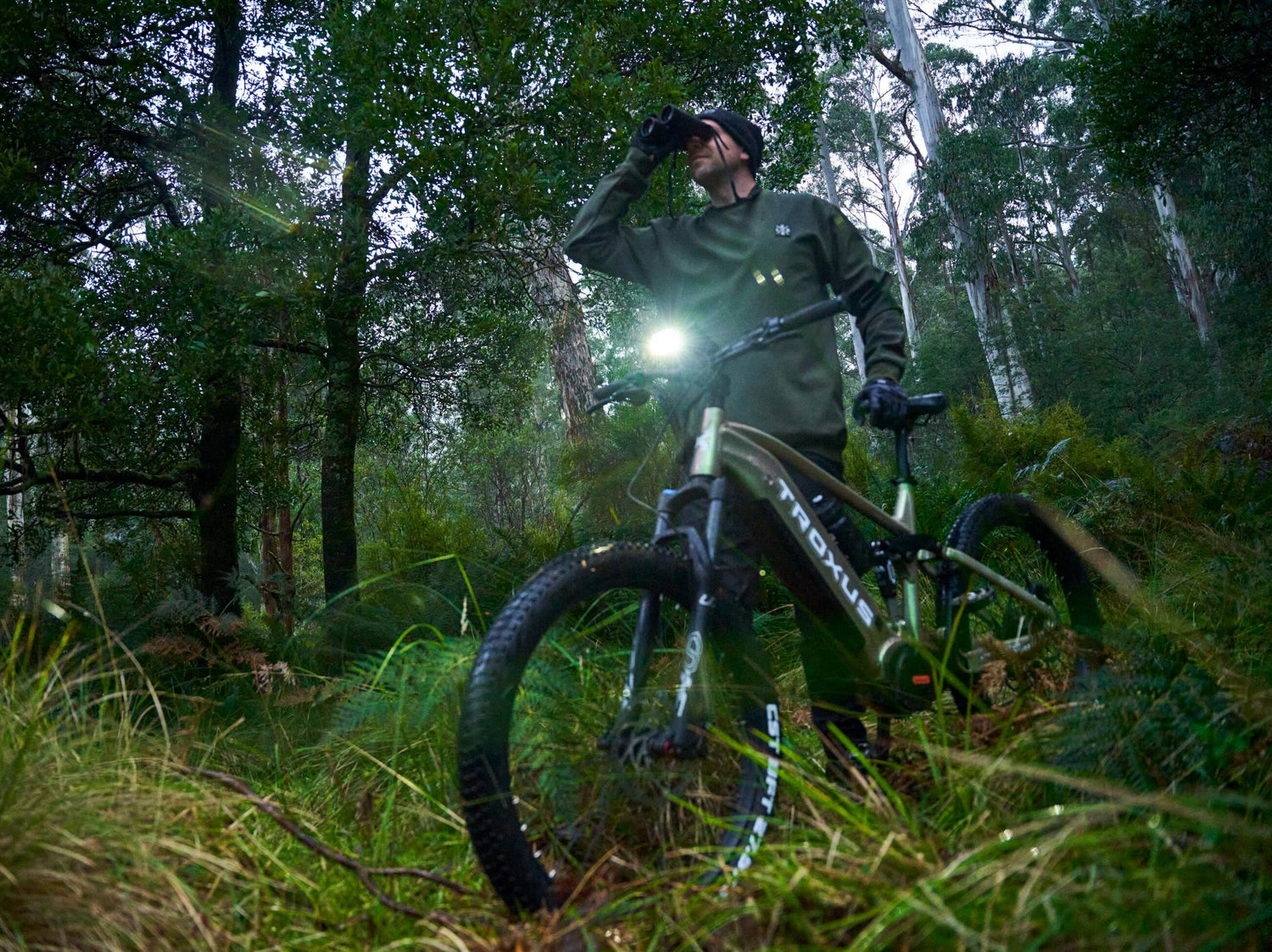 The All-Terrain Fat Tire Electric Bike Guide