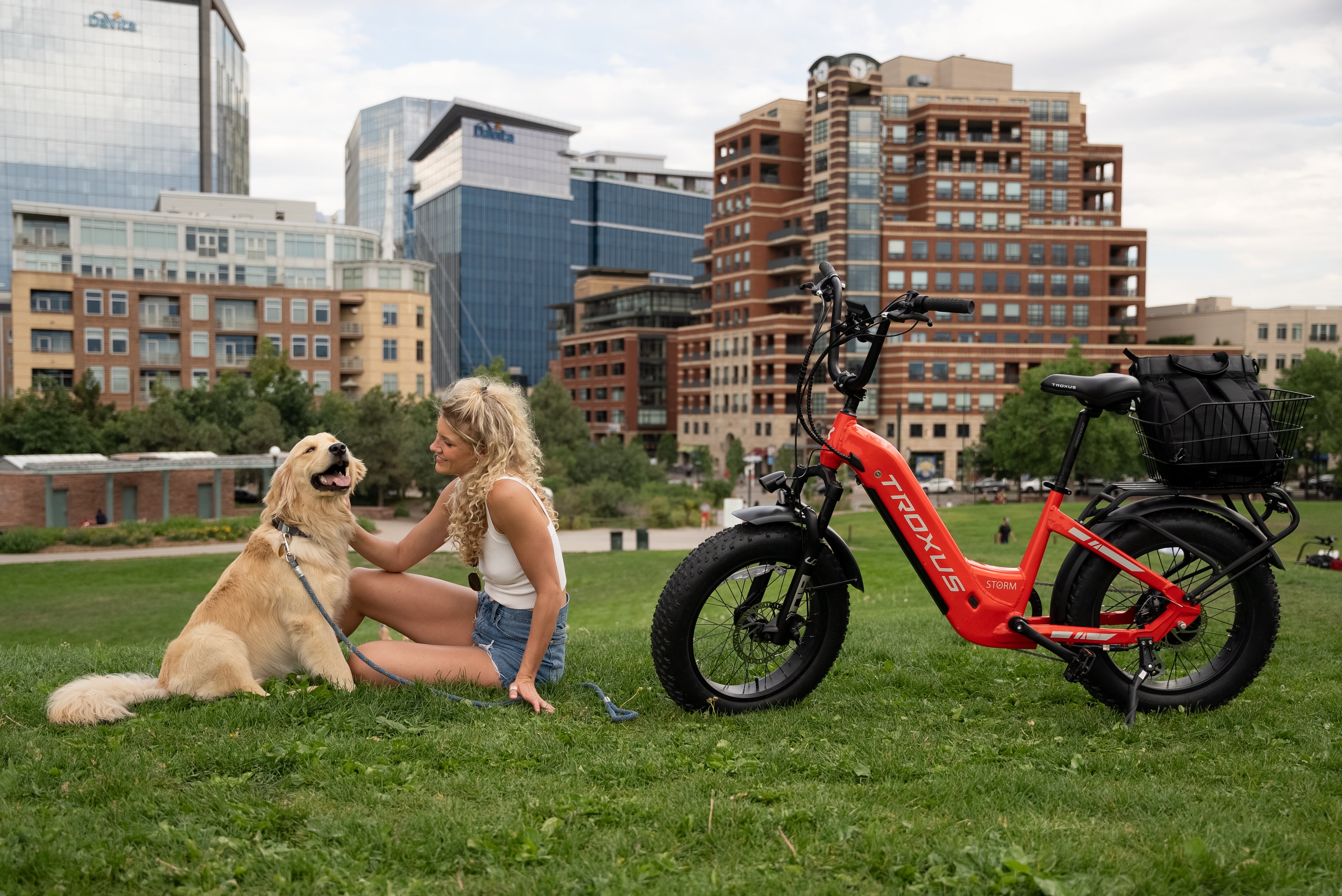 The Joy of Riding with Your Furry Companion