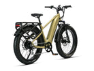 troxus-explorer-plus-step-over-e-bike