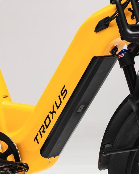 troxus-lynx-cargo-e-bikes