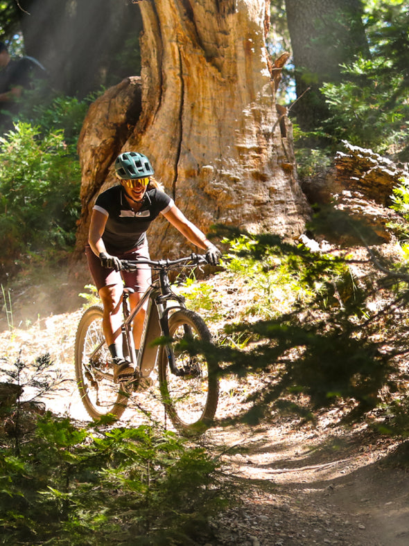 troxus-t-xc-e-bikes