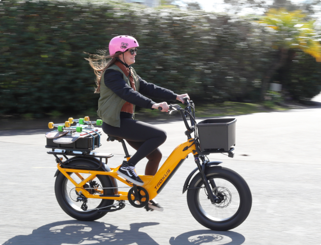 troxus-lynx-cargo-e-bikes