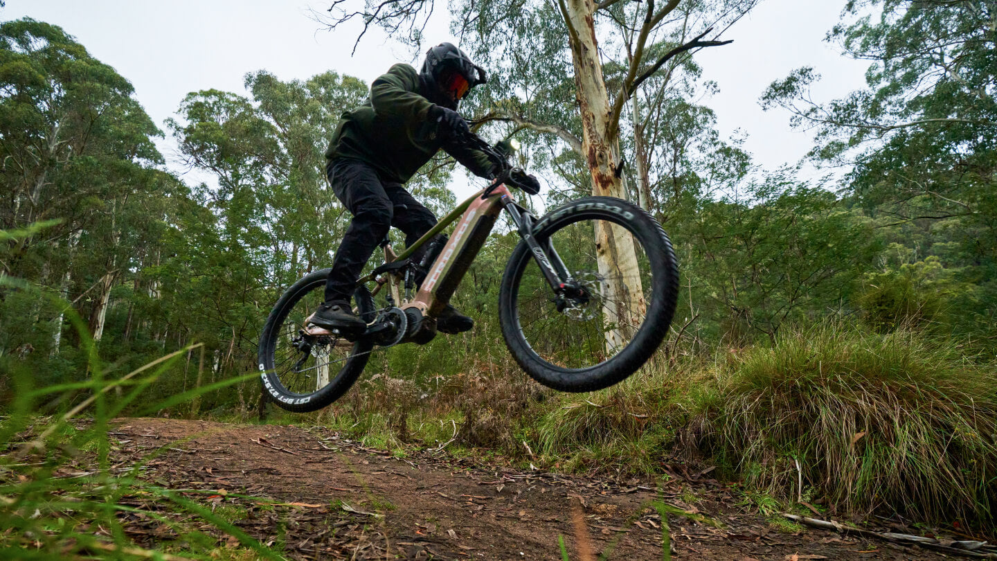 e-mtb