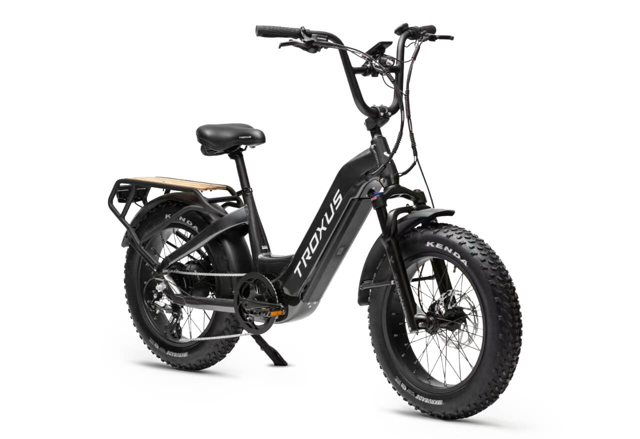 Lynx Plus 20" Fat Tire E-Bike