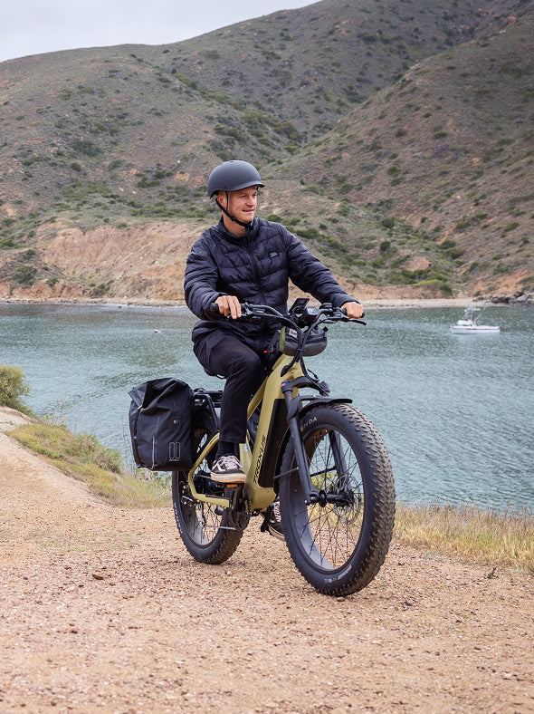 ebike-fat-tire