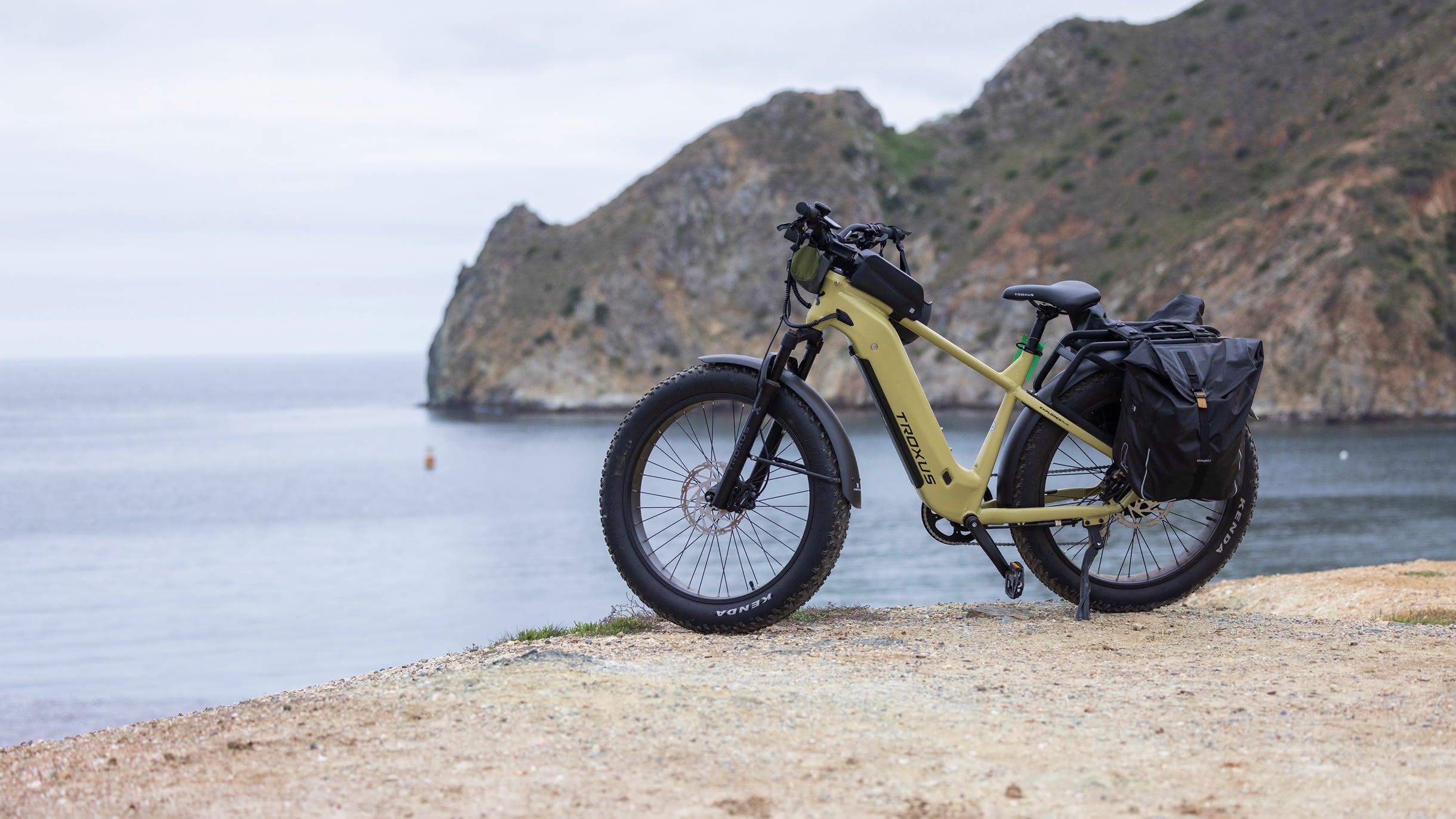 ebike-fat-tire