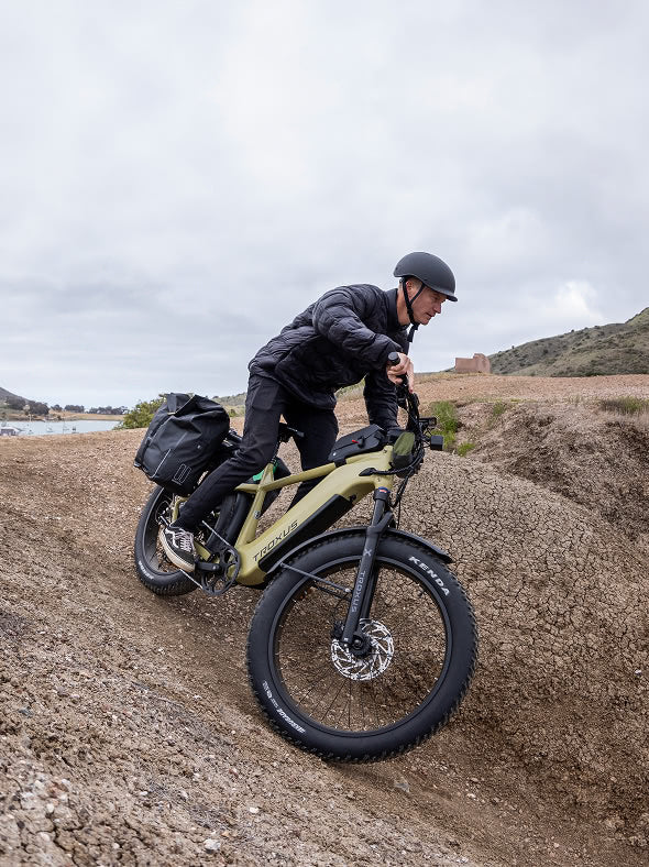 ebike-fat-tire