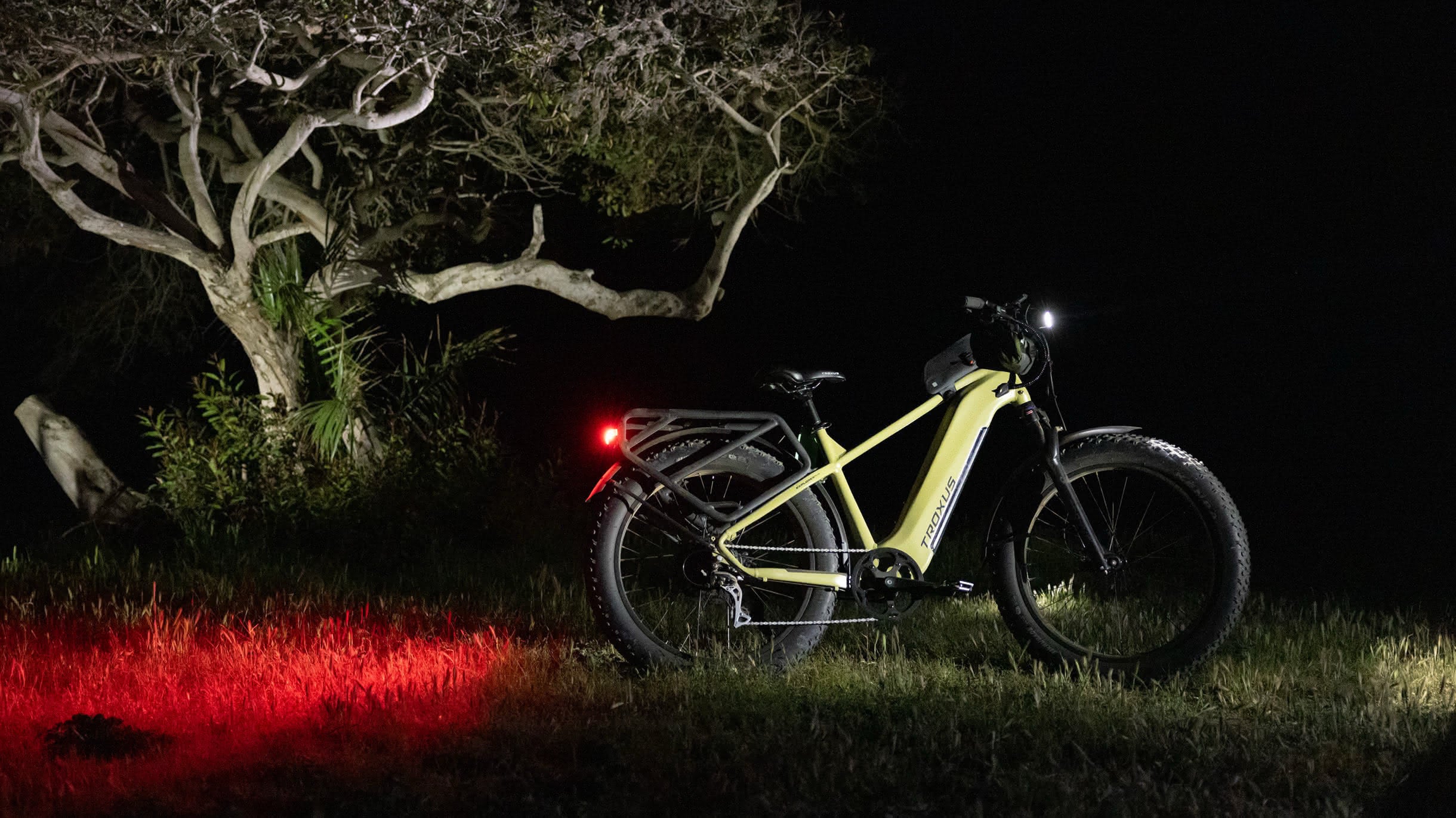 ebike-fat-tire