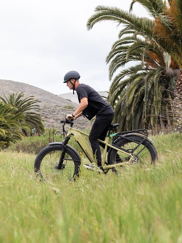 ebike-fat-tire