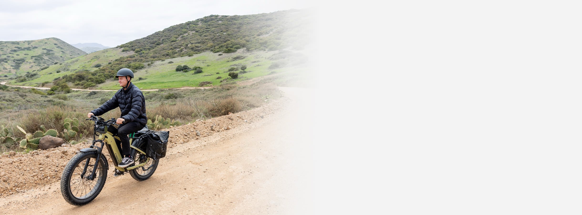 ebike-fat-tire