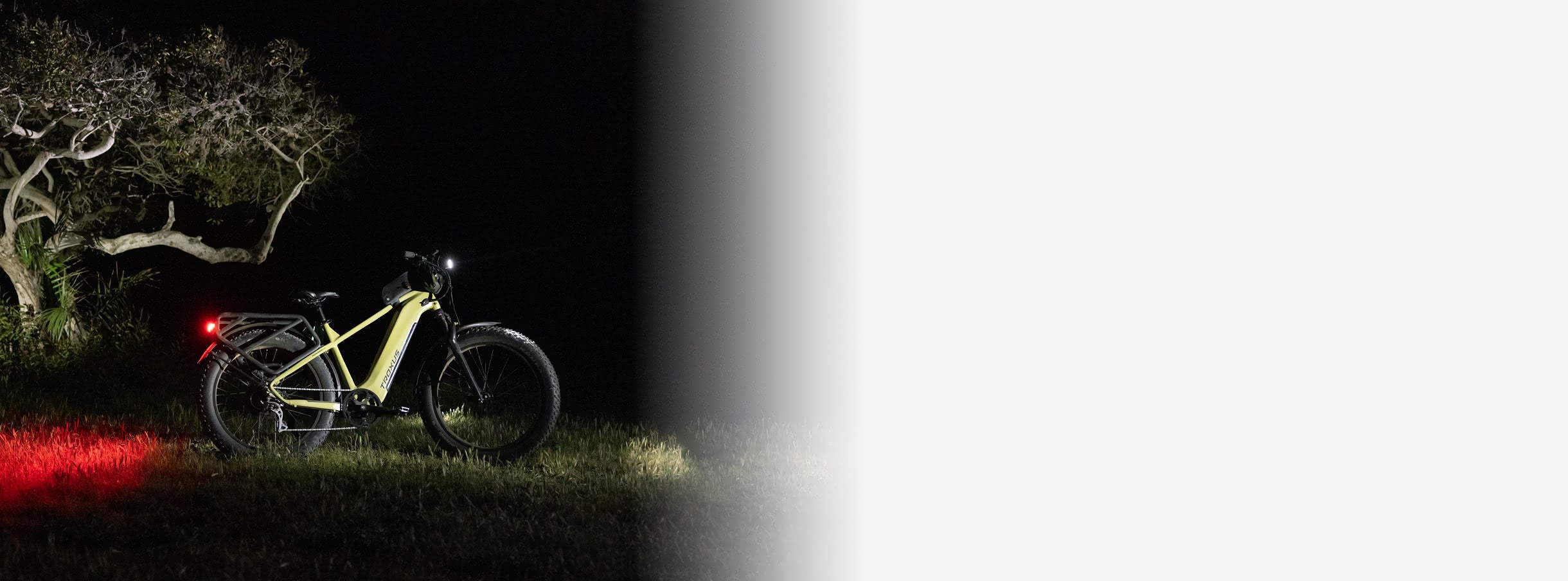 ebike-fat-tire