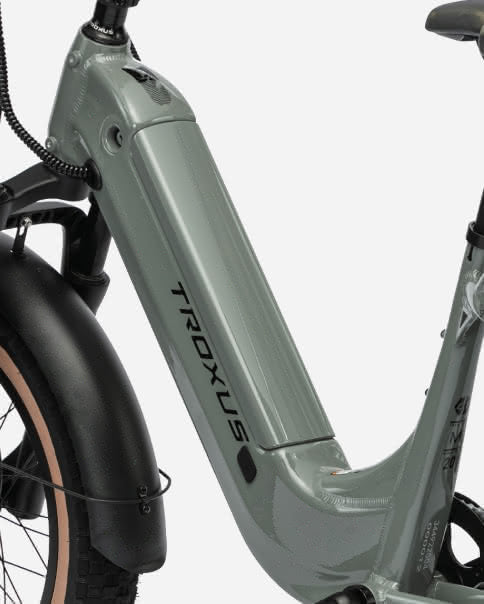lynx-2-up-electric-bike