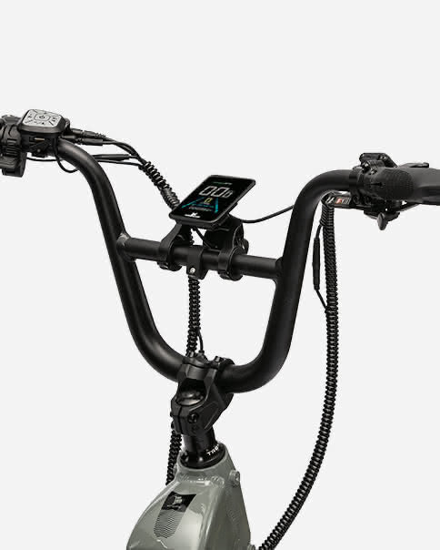 lynx-2-up-electric-bike